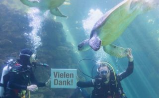 Two divers in the aquarium of the Deutsches Meeresum with turtles and fish