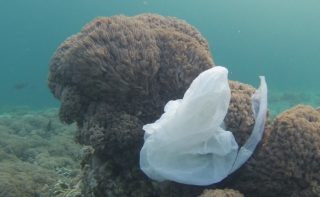 Plastikmüll im Ozean