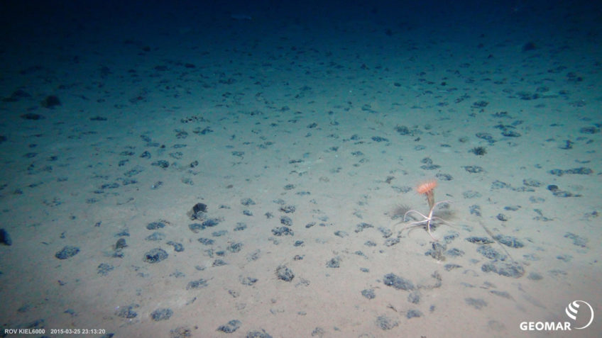 Assessing the Impacts of Nodule Mining on the Deep-Sea Environment ...