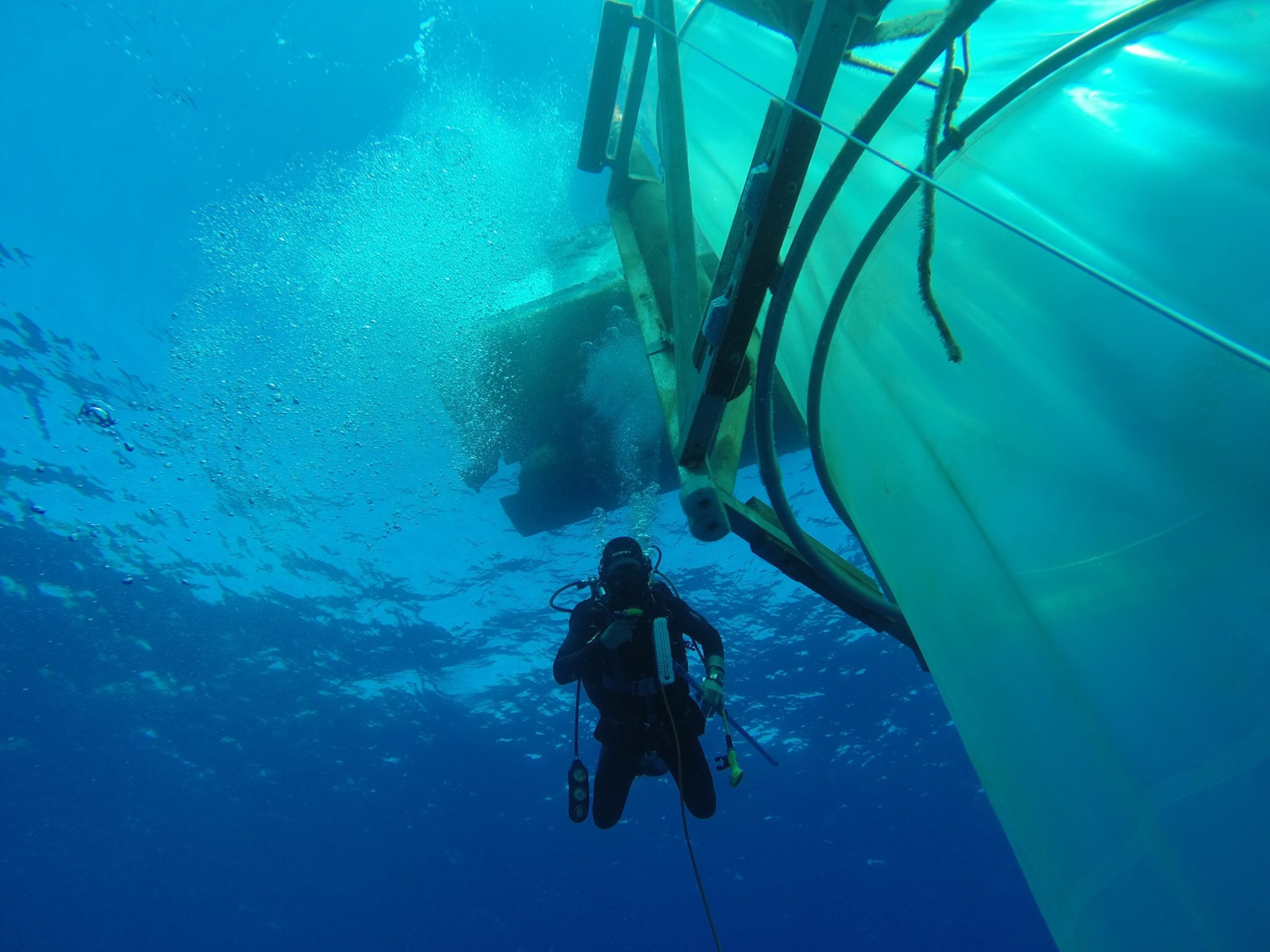 MARINE CARBON SINKS