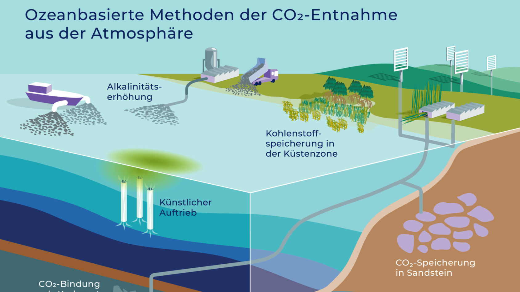 marine-carbon-sinks