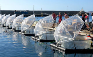 Mesokosmen werden für das Experiment des EU-Projekts Ocean-based Negative Emission Technologies (OceanNETs) auf Gran Canaria vorbereitet