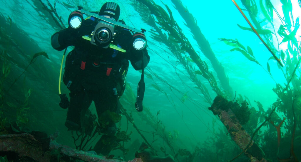 Transfer Header: Diver with underwater camera equipment