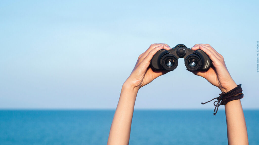 Two hands hold binoculars in the frame, the sea and sky can be seen in the background on a sunny day