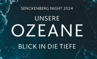 Outstanding Look into the Depths: 2024 Senckenberg Prizes Go to Marine Researchers