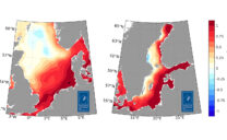 So wichen die Jahresmitteltemperaturen 2024 in der Nordsee (links) und in der Ostsee (rechts) vom langjährigen Mittel von 1997 bis 2021 ab