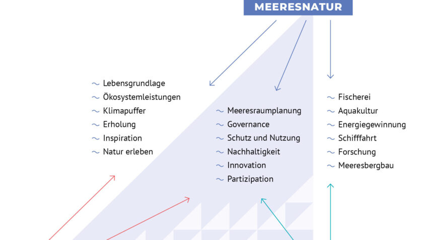 Grafik Meere und Menschen